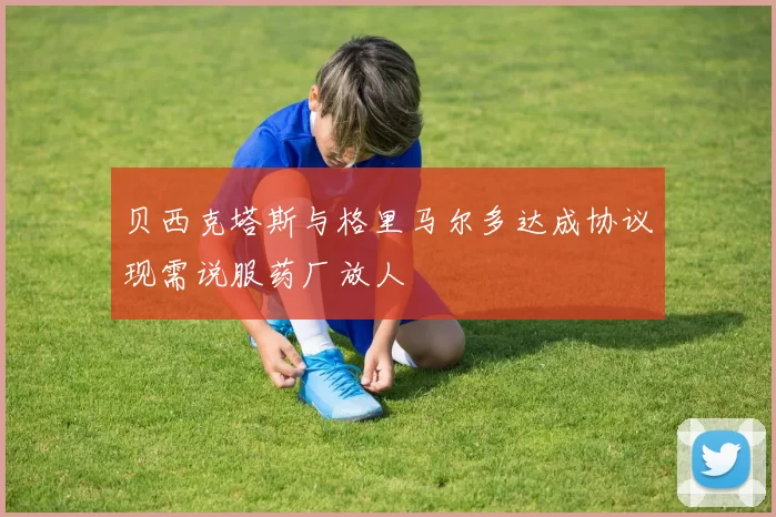 贝西克塔斯与格里马尔多达成协议现需说服药厂放人